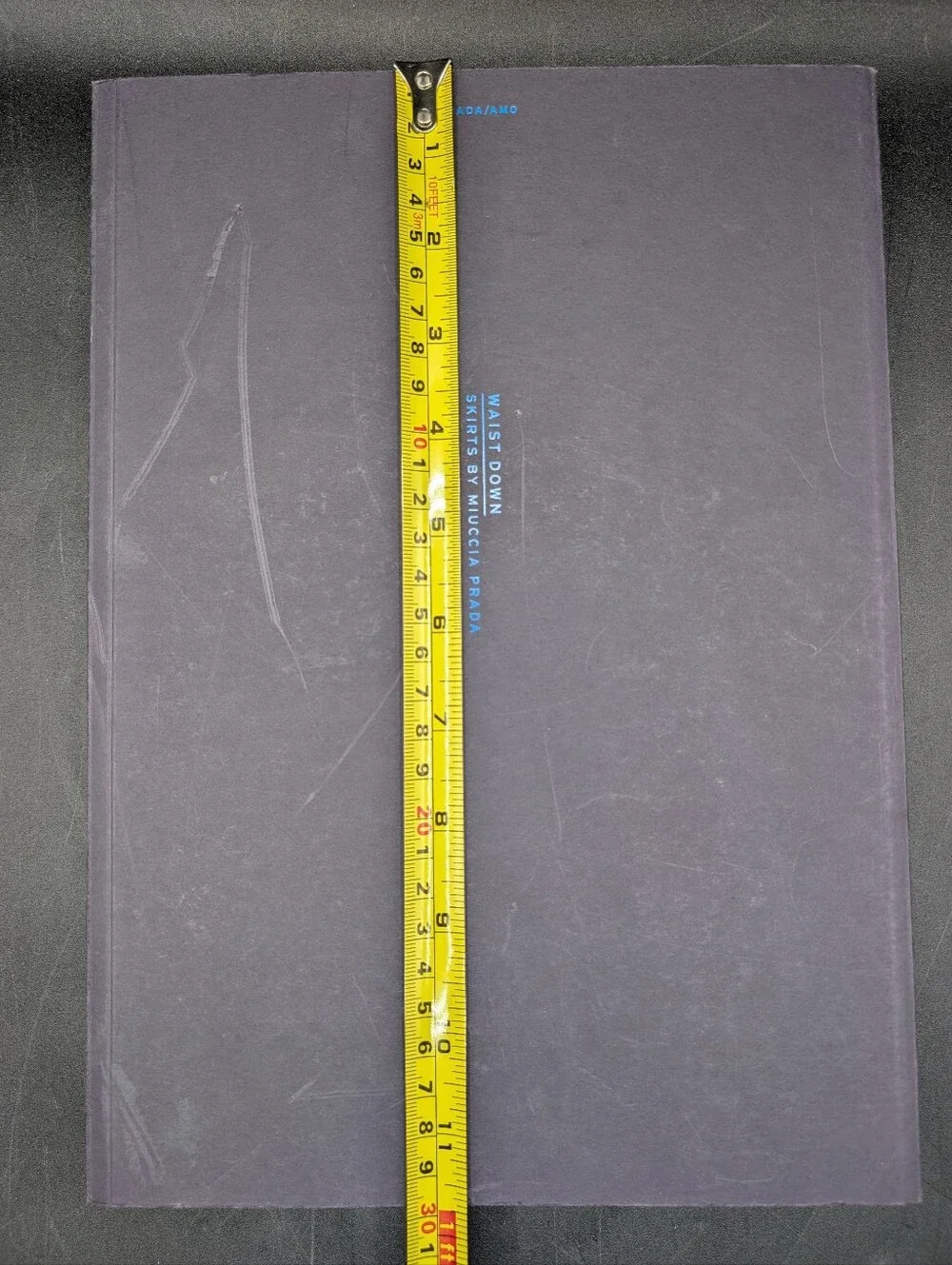 Waist Down; Skirts by Miuccia Prada. 1st Edition, 2004